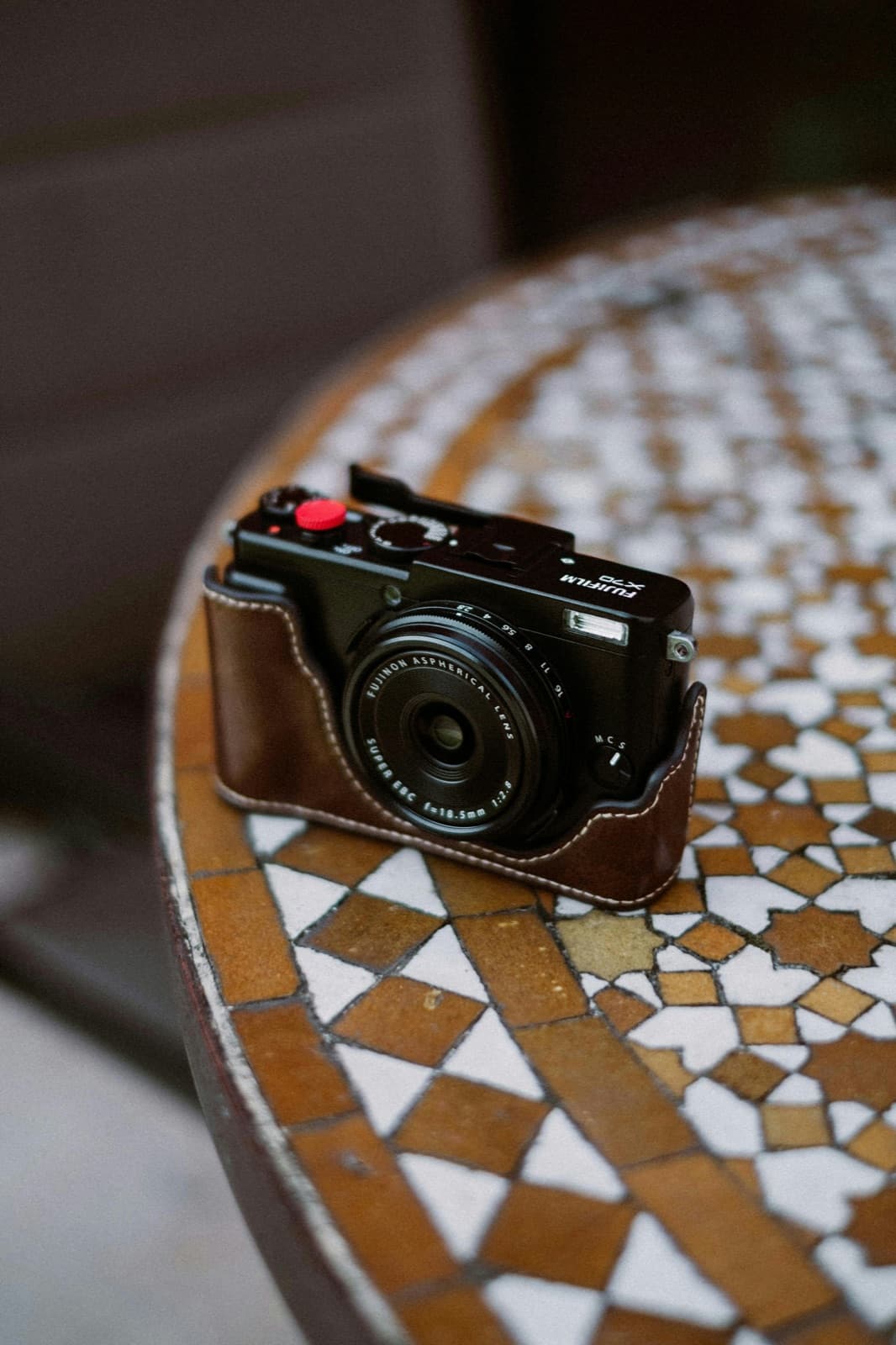 Hands holding a camera, looking at the screen outdoors